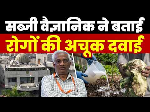 सब्जियों को Root Rot और मिट्टी जनक बीमारियों से कैसे बचायें? How to Use Trichoderma? Complete Guide