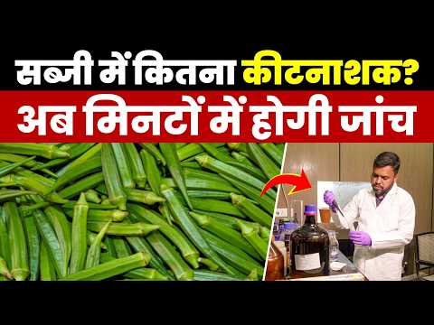 सब्जी में कितना कीटनाशक मिनटों में चलेगा पता, वैज्ञानिक ने बताया ज़हर मुक्त सब्जियां कैसे पहचाने